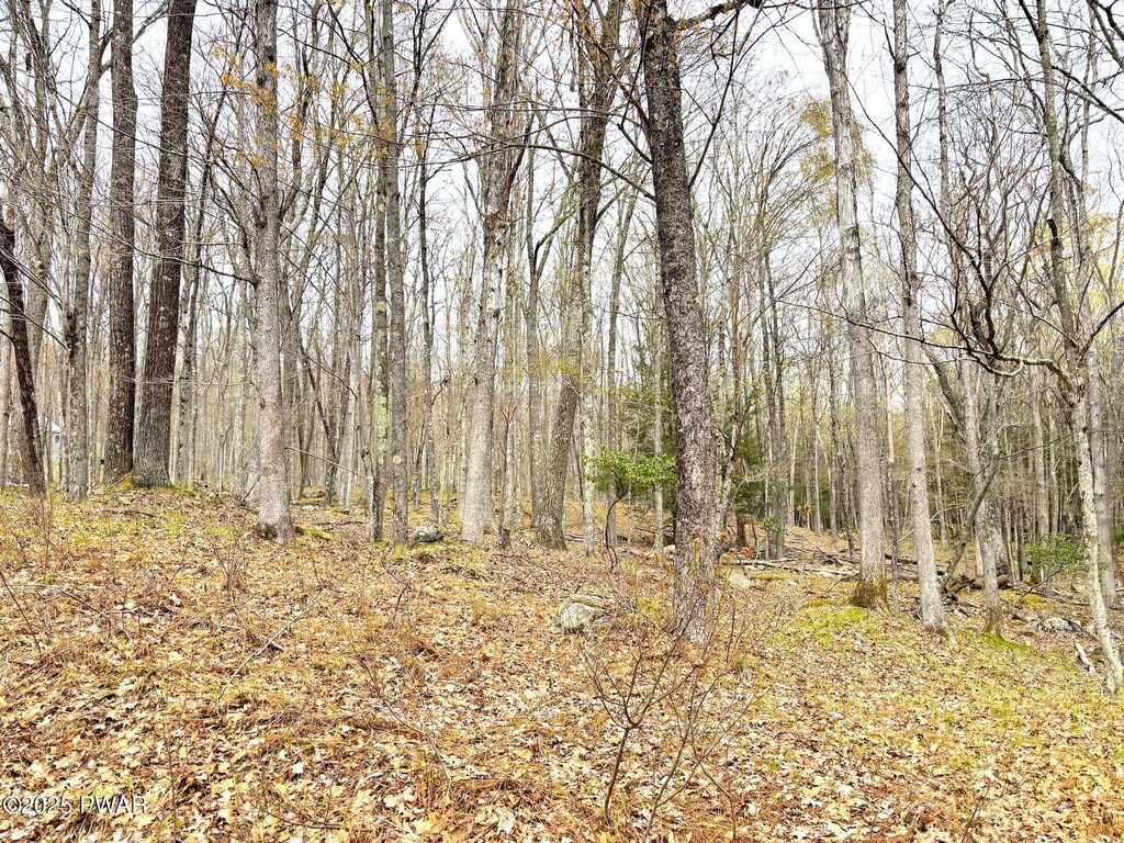 767 Tink Wig Dr, Hawley, PA 18428