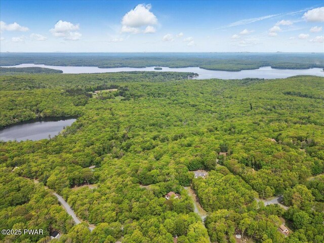 173 Paper Birch S, Tafton, PA 18464 - aerial view of a heavily wooded area and a nearby body of water