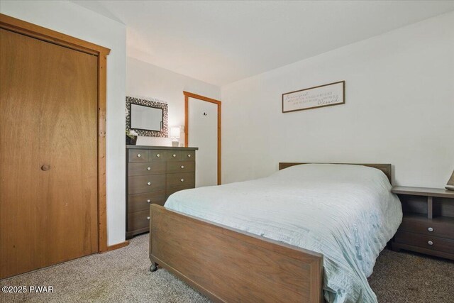 173 Paper Birch S, Tafton, PA 18464 - bedroom with light colored carpet