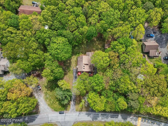 173 Paper Birch S, Tafton, PA 18464 - aerial view