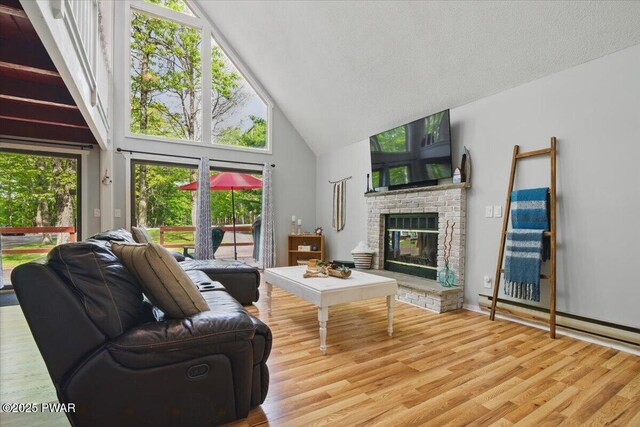 173 Paper Birch S, Tafton, PA 18464 - living area featuring high vaulted ceiling, wood finished floors, a fireplace, and a baseboard radiator