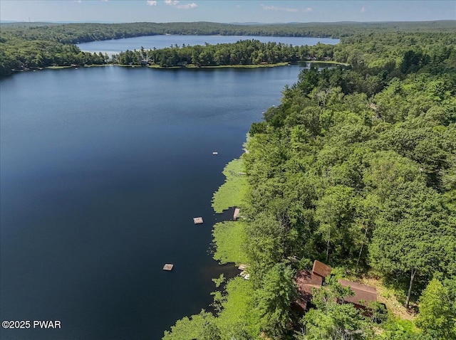 105 Sandy Beach Ln, Shohola, PA 18458 - photo 47