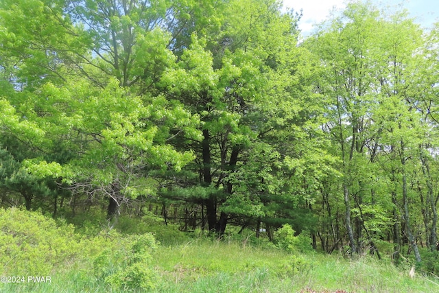 Listing photo 2 for LOT45.06 Heaters Hill Rd, Matamoras PA 18336