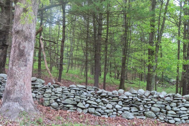 LOT45.06 Heaters Hill Rd, Matamoras, PA 18336 - photo 5