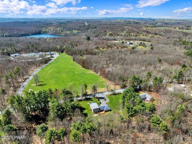 birds eye view of property with a view of trees and a water view