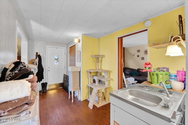 interior space with a sink, dark wood-style flooring, white cabinets, and light countertops