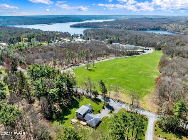 drone / aerial view featuring a view of trees and a water view