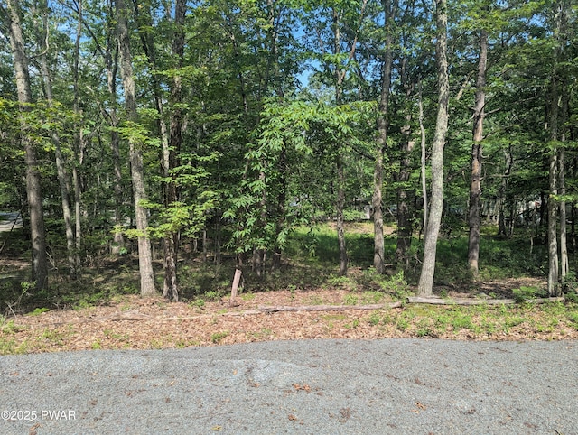 4122 Apache Ln, Shohola, PA 18458