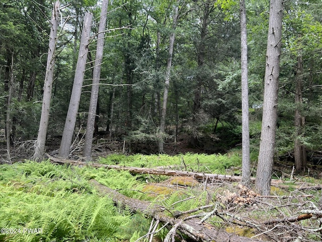 LOT75 Happy Hollow Dr, Shohola, PA 18458
