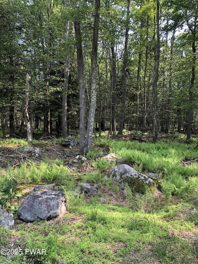 192 Fountain Dr, Gouldsboro, PA 18424