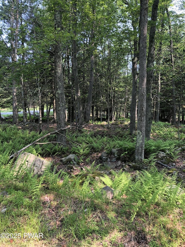 192 Fountain Dr, Gouldsboro, PA 18424