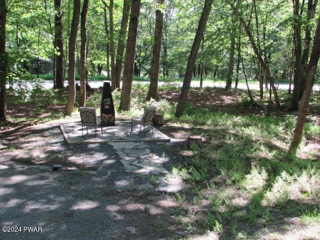 view of yard featuring a patio area