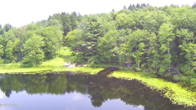 view of water feature