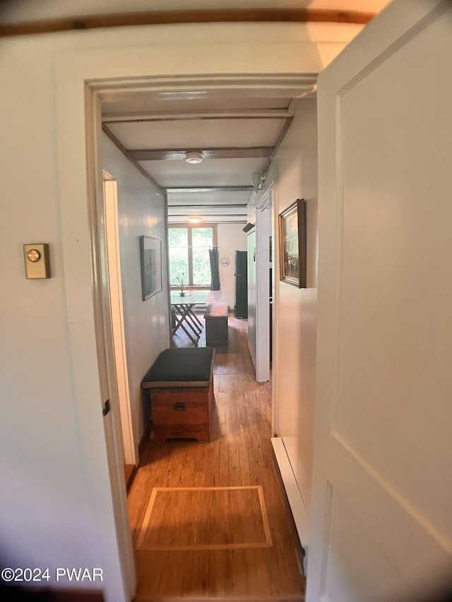 hallway featuring wood-type flooring