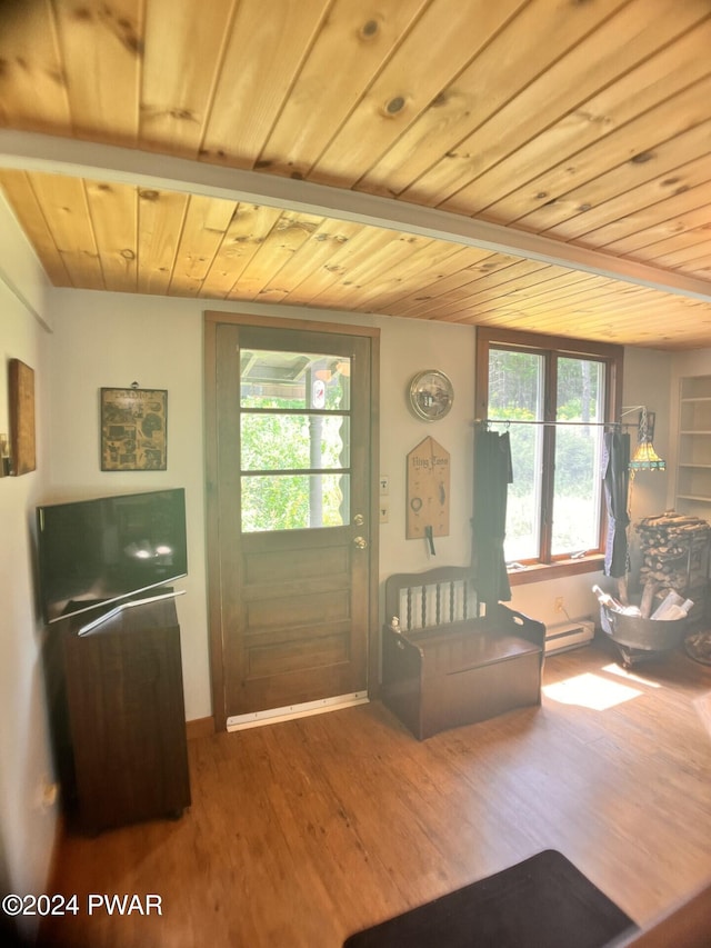 entryway with hardwood / wood-style flooring, plenty of natural light, and baseboard heating