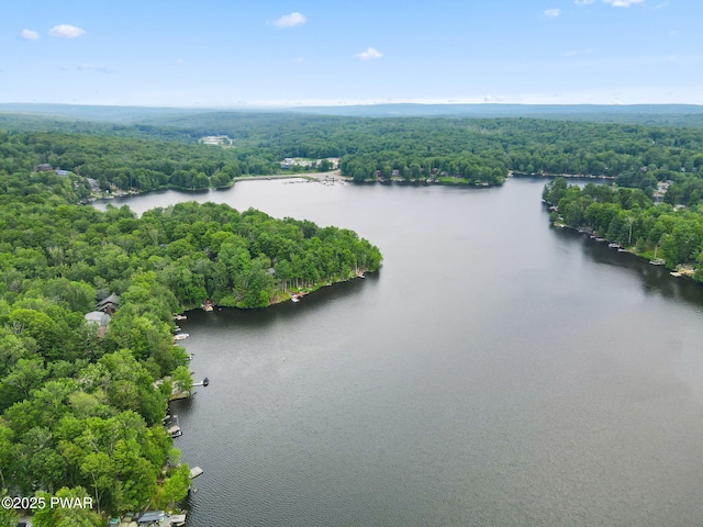 37 Rockpoint Ct, Lake Ariel, PA 18436 - bird's eye view of a forest and a nearby body of water