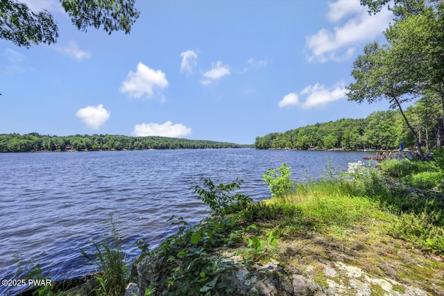 37 Rockpoint Ct, Lake Ariel, PA 18436 - water view featuring a heavily wooded area
