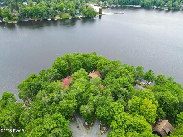 37 Rockpoint Ct, Lake Ariel, PA 18436 - bird's eye view of a nearby body of water and a tree filled landscape
