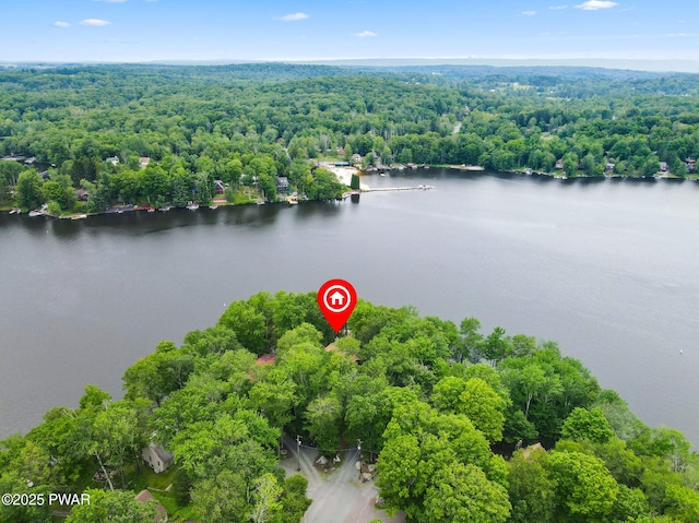37 Rockpoint Ct, Lake Ariel, PA 18436 - aerial view of a forest and a nearby body of water