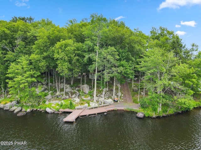 37 Rockpoint Ct, Lake Ariel, PA 18436 - view of dock
