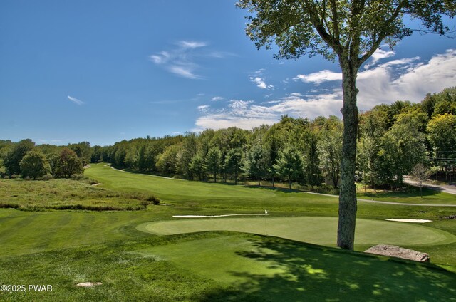 37 Rockpoint Ct, Lake Ariel, PA 18436 - view of community with golf course view, a putting area, and a yard