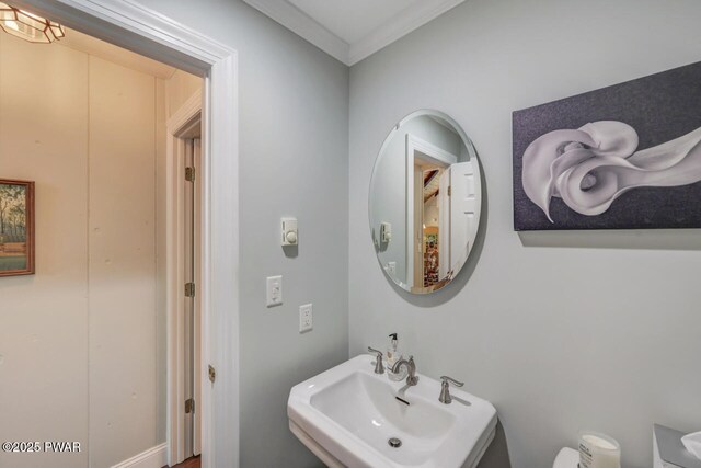37 Rockpoint Ct, Lake Ariel, PA 18436 - bathroom featuring a sink and crown molding