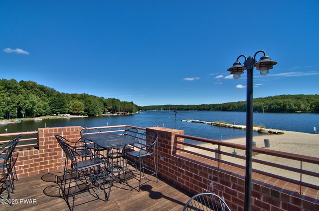 37 Rockpoint Ct, Lake Ariel, PA 18436 - dock with a water view and a view of trees