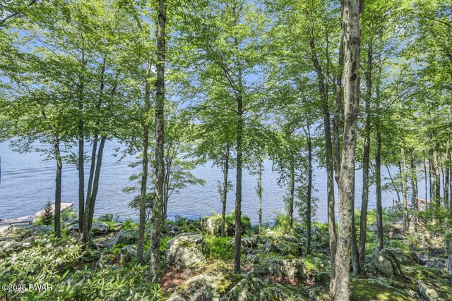 37 Rockpoint Ct, Lake Ariel, PA 18436 - water view