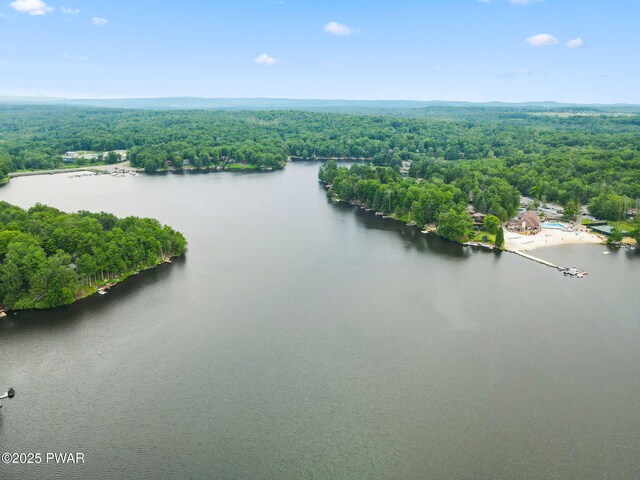 37 Rockpoint Ct, Lake Ariel, PA 18436 - bird's eye view of a heavily wooded area and a nearby body of water
