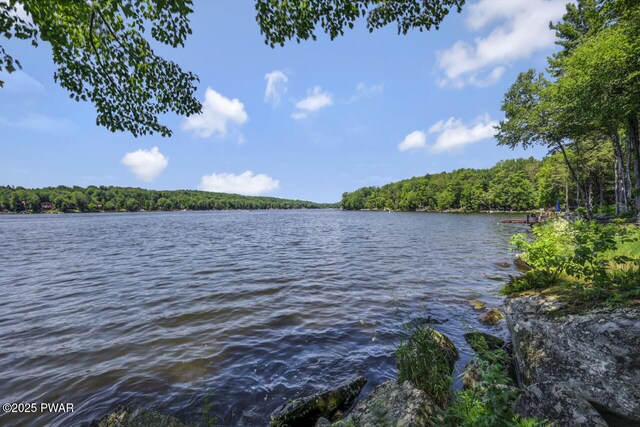 37 Rockpoint Ct, Lake Ariel, PA 18436 - water view featuring a heavily wooded area