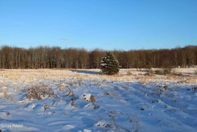 view of nature