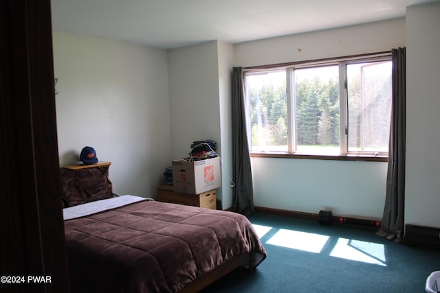 bedroom with carpet floors