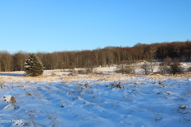 view of snowy landscape