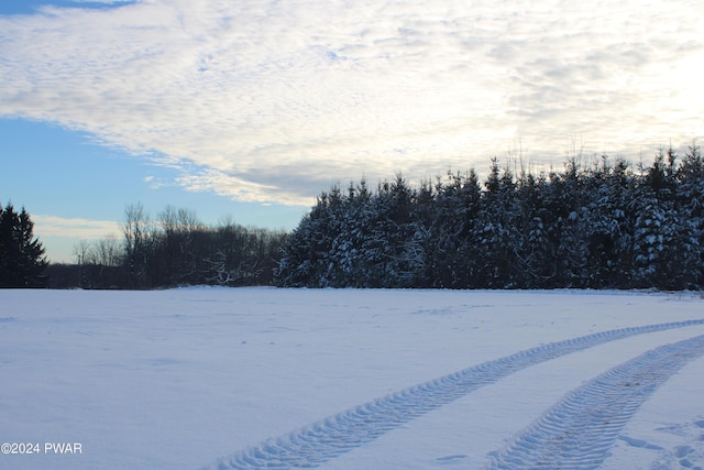 view of yard layered in snow