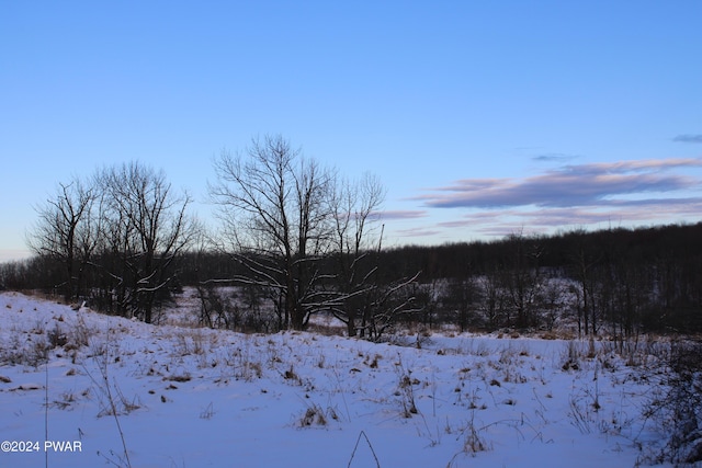 view of snowy landscape