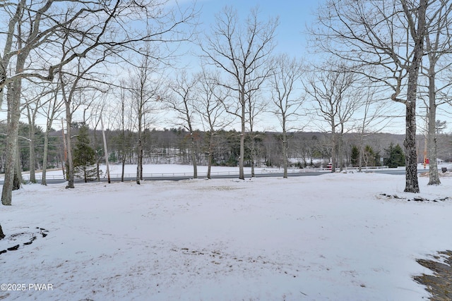 yard layered in snow with a detached garage