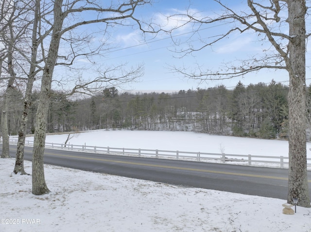 view of yard covered in snow