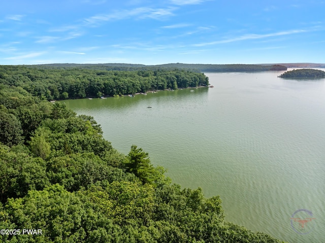 71 Boulder Point Rd, Lakeville, PA 18438 - water view with a heavily wooded area