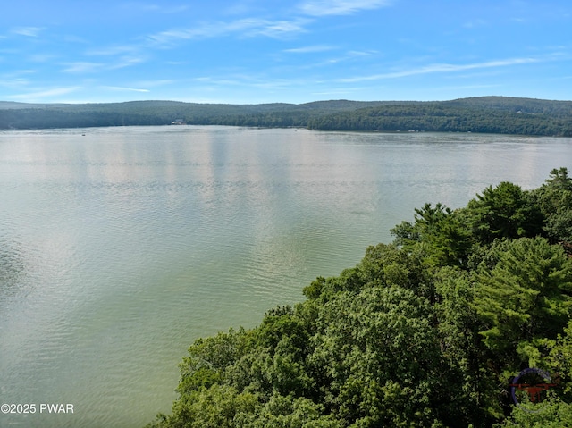 71 Boulder Point Rd, Lakeville, PA 18438 - water view with a forest
