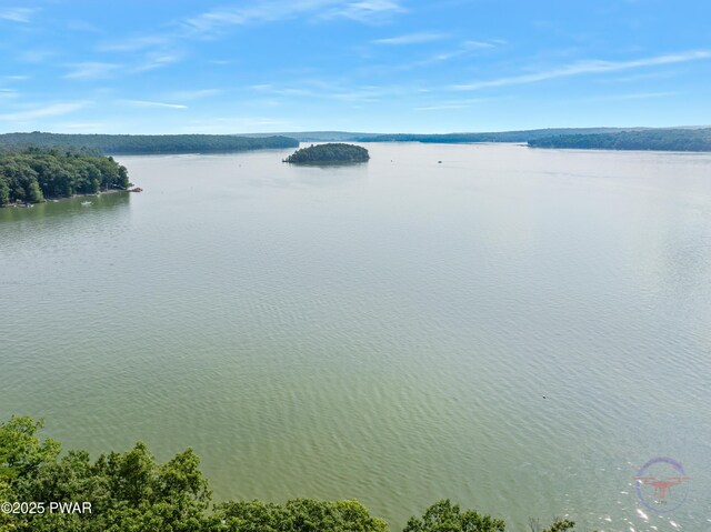 71 Boulder Point Rd, Lakeville, PA 18438 - water view