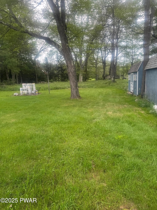 112 Ewe Ln, Tobyhanna, PA 18466 - view of green lawn with a shed