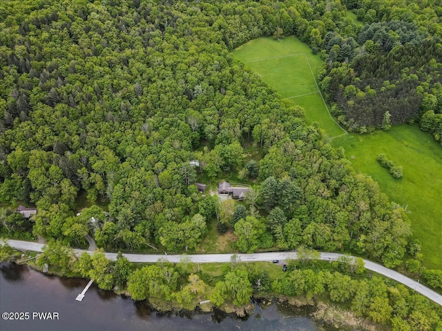 349 Starlight Lake Rd, Starlight, PA 18461 - aerial view