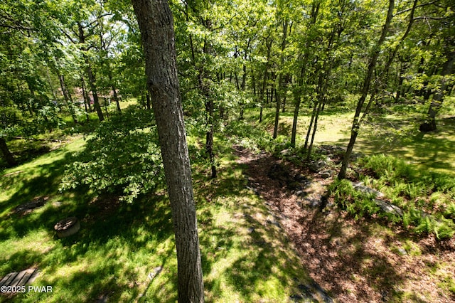 152 Mallard Ln, Bushkill, PA 18324 - photo 9