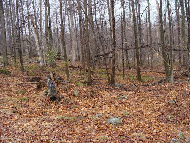 Listing photo 2 for LOT74 Alder Dr, Newfoundland PA 18445