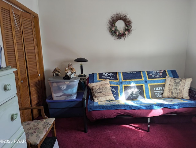 sitting room with carpet floors