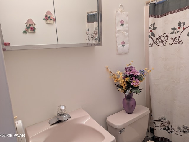 full bathroom featuring toilet and a sink