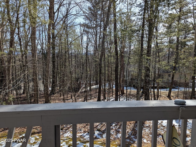 view of yard covered in snow