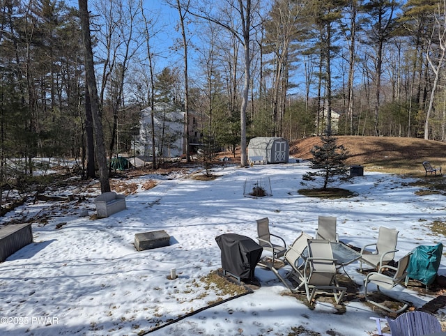 snowy yard with an outdoor structure and a storage unit