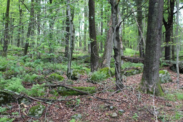 LOT2219 Hemlock Ter N, Greentown, PA 18426 - photo 3