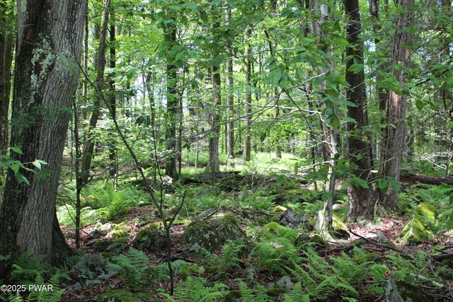 LOT2219 Hemlock Ter N, Greentown, PA 18426 - photo 5